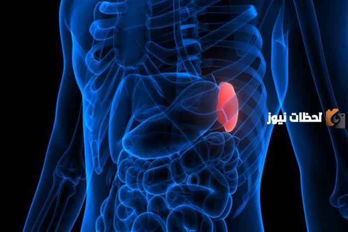 ما هو تضخم الطحال وما هي أسبابه وأعراضه