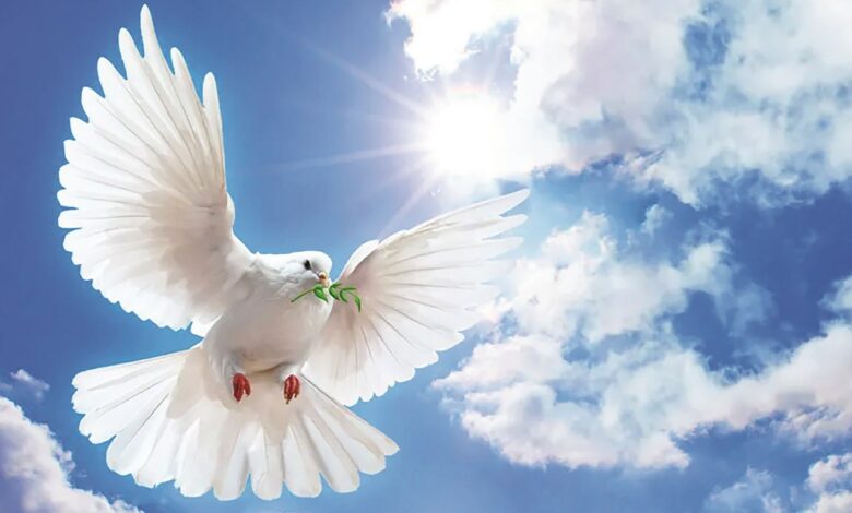 مجموعة من رسائل وعبارات وكلمات عن التسامح قبل رمضان