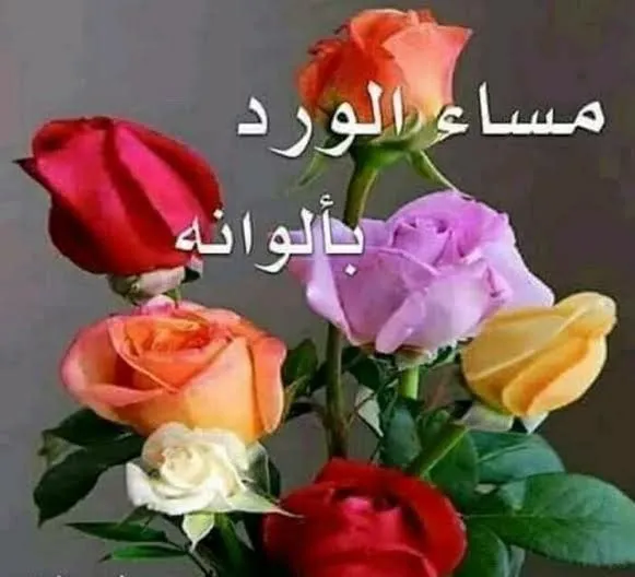 مسجات مساء الورد والياسمين