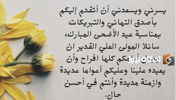 رسالة تهنئة