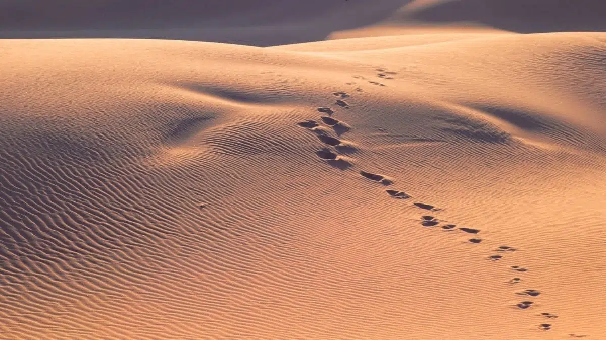  قصة ورقة بن نوفل مع النبي