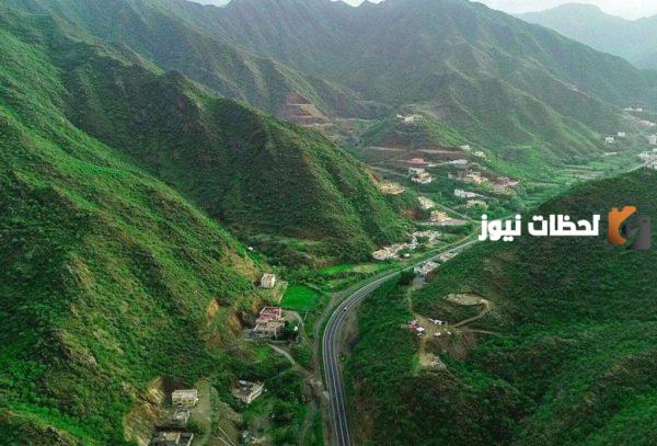  جنوب السعودية