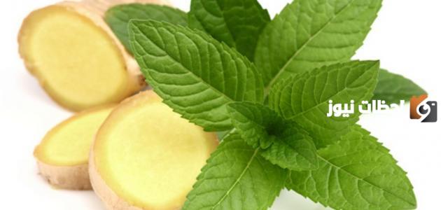  فوائد النعناع والزنجبيل
