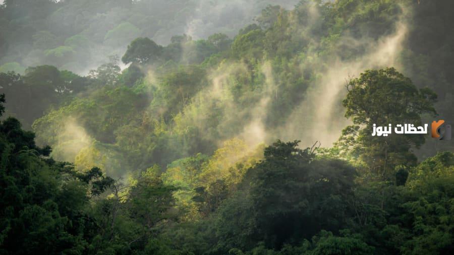 المناطق الاستوائية