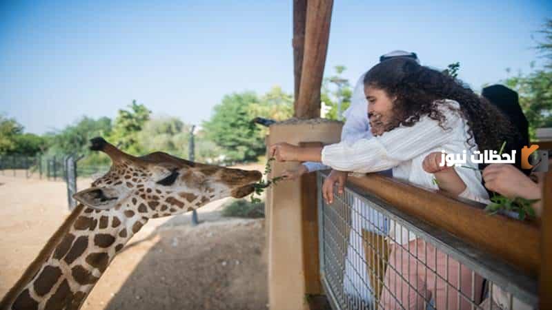 حديقة الحيوانات في العين