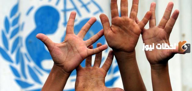 آليات حماية حقوق الإنسان 