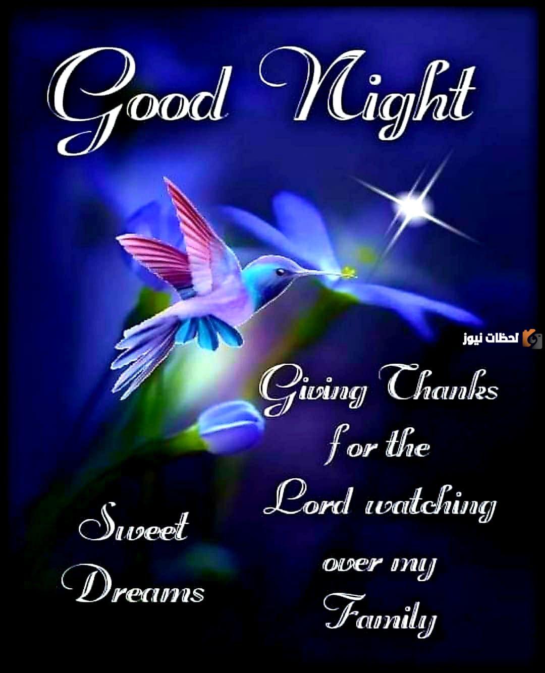 عبارات مساء الخير حبيبتي