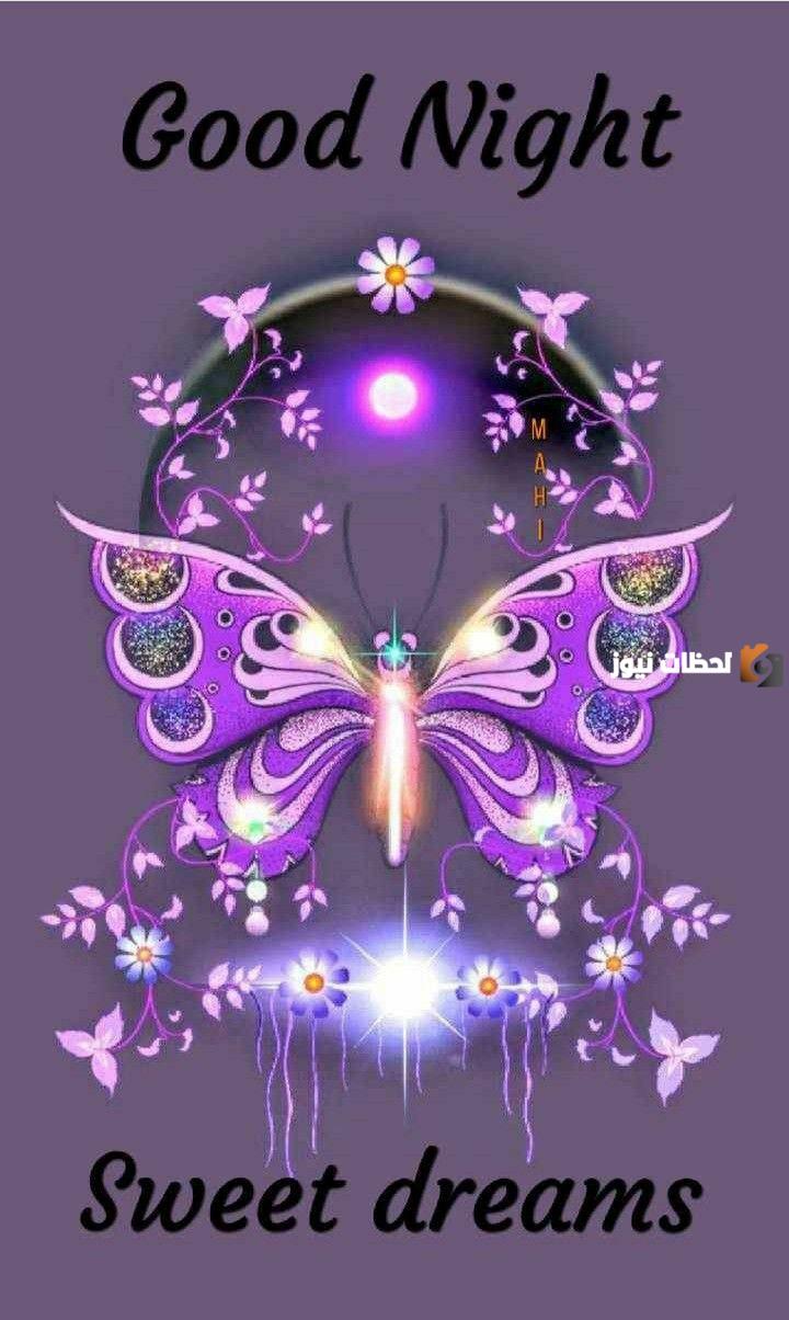 عبارات مساء الخير حبيبتي