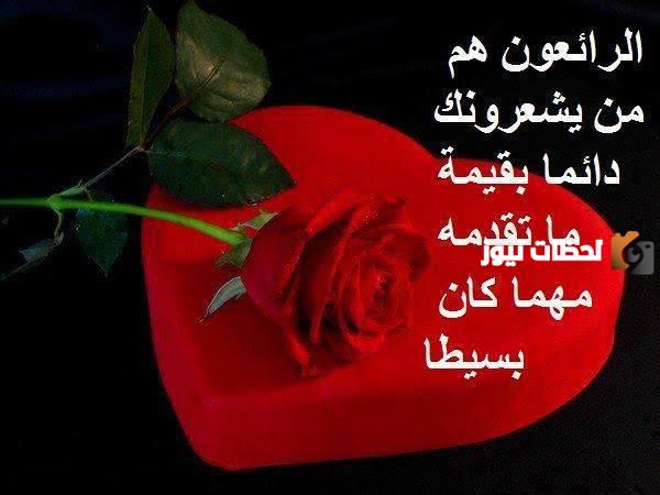 الرد على تعليقات حلوة