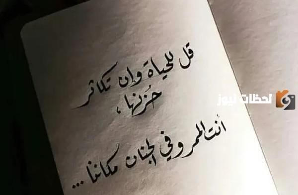 عبارات عن الحياة