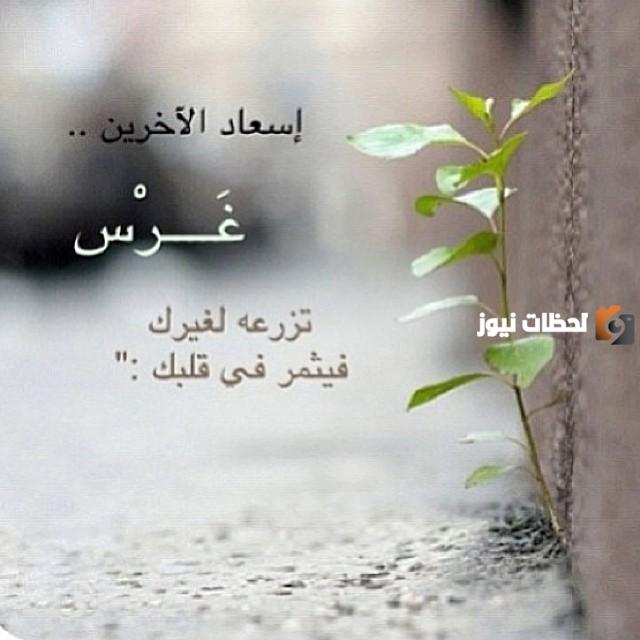 عن الحياة والحب والأمل