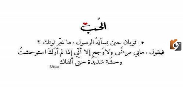 عبارات عن مدح النبي