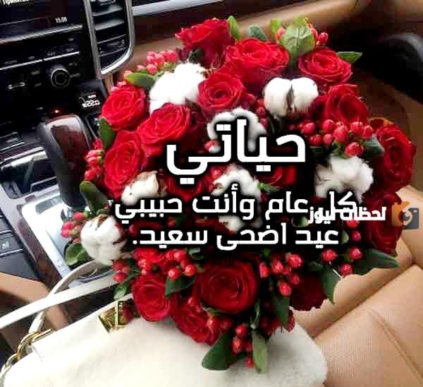 تهاني العيد للحبيب