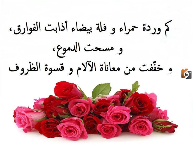 أجمل كلام وخواطر عن الورد