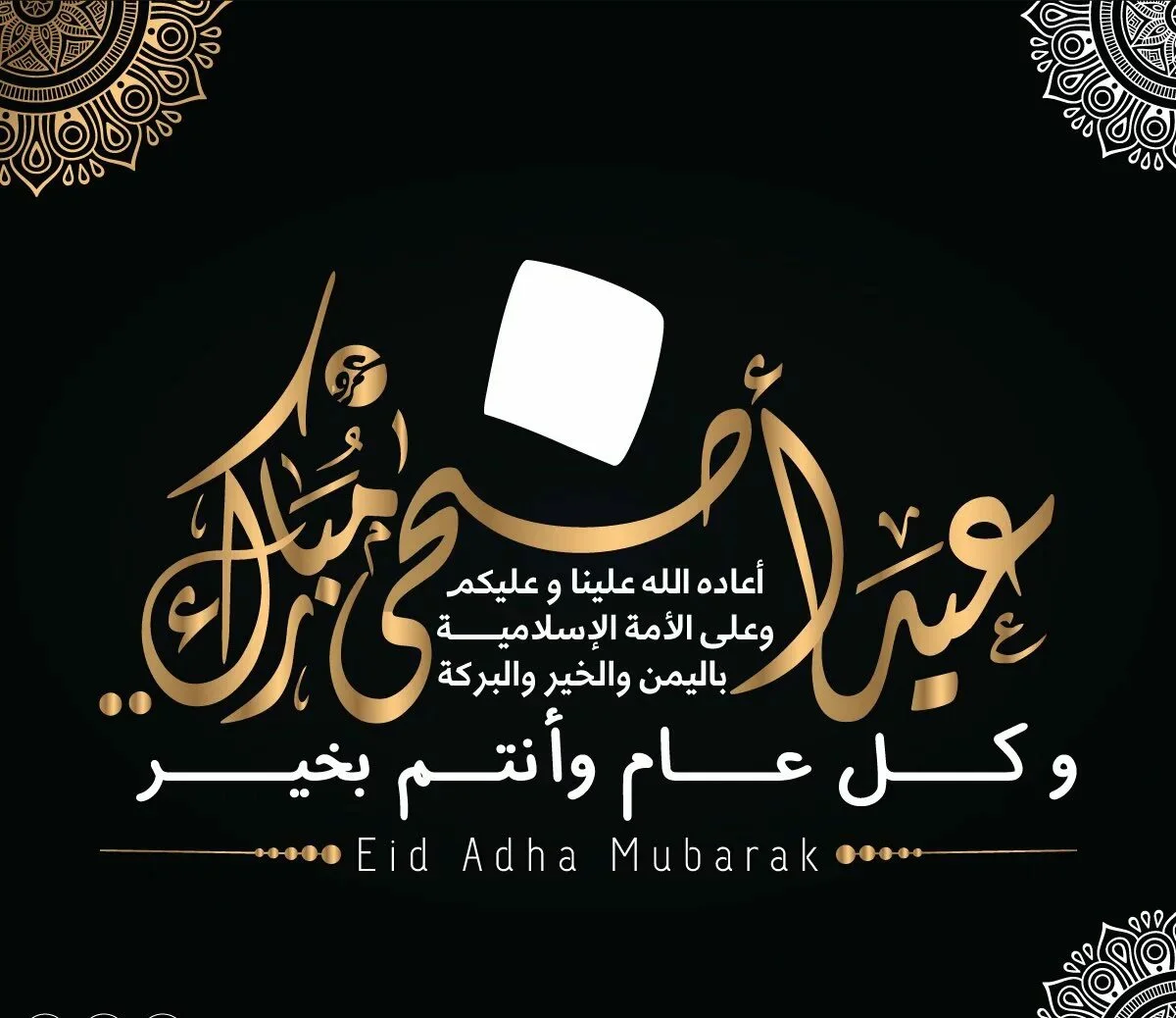 كل عام وانتم بخير للتهنئة بالاعياد 