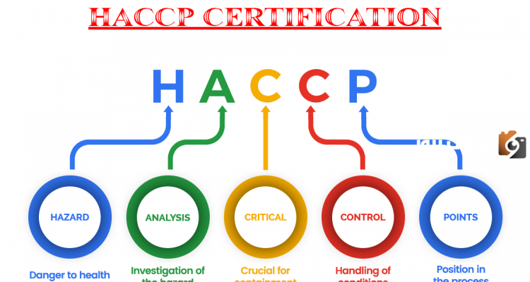 نظام الهاسب