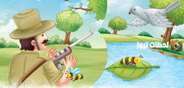  قصة الحمامة والصياد