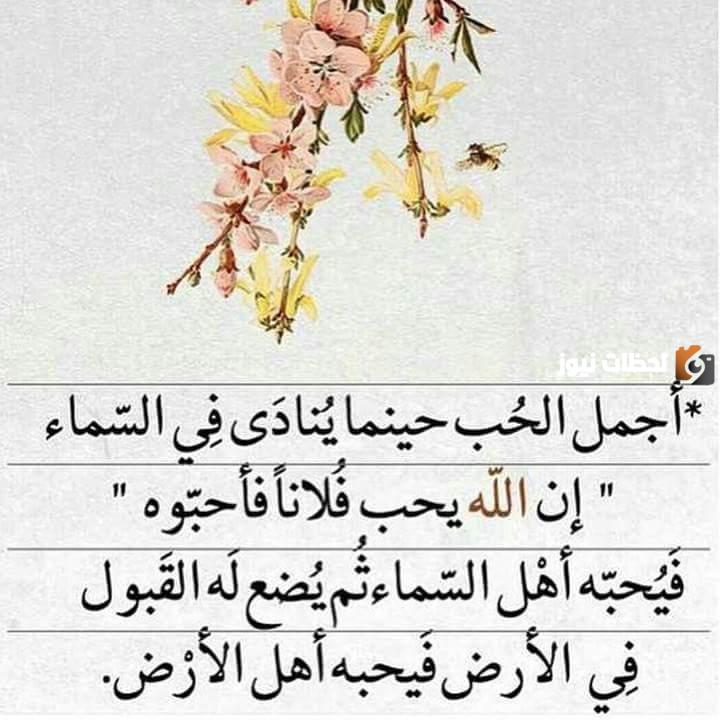  حالات واتس اب حكم قوية 