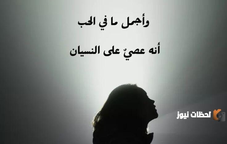 كلام عن نسيان الحبيب