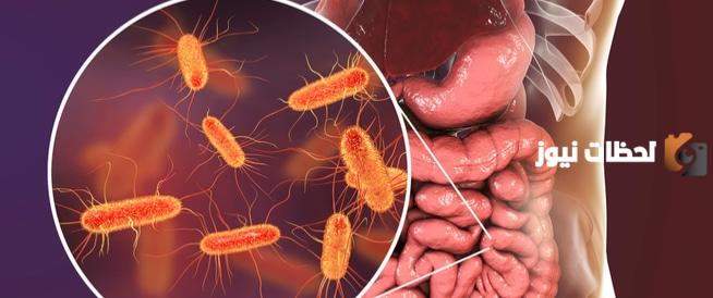 أخطر أنواع البكتيريا الضارة