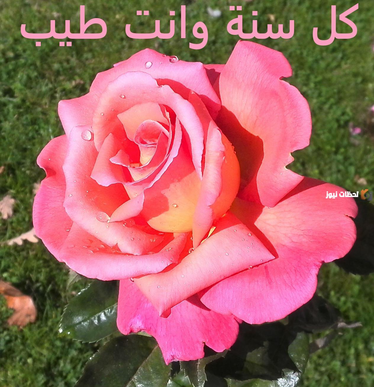 رسائل عيد ميلاد طفل 