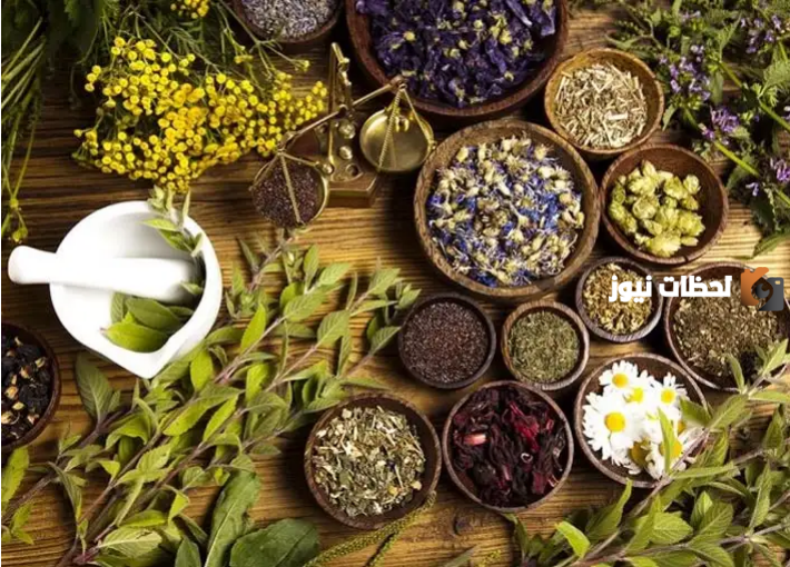 أعشاب لسد الشهية