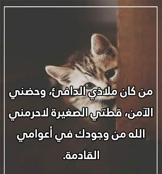 يوم القطط العالمي
