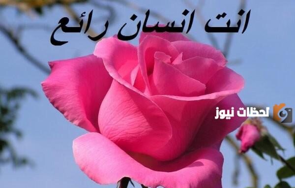 الرد على تعليقات حلوة