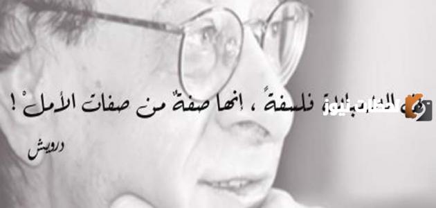 كلمات فلسفة راقية