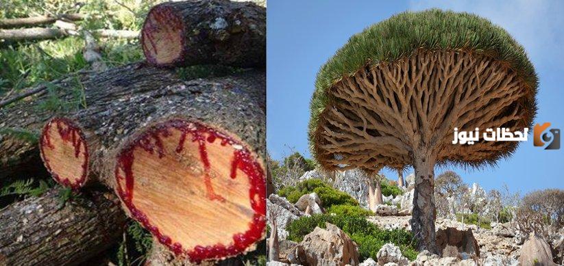 الدروس المستفادة من قصة أصحاب الأيكة