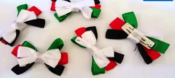 يوم العلم الاماراتي