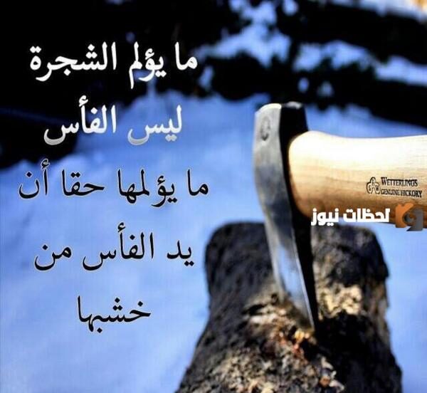 عبارات قاسية جداً