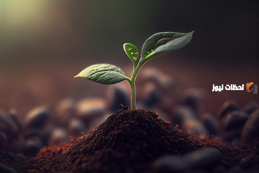  حماية التربة