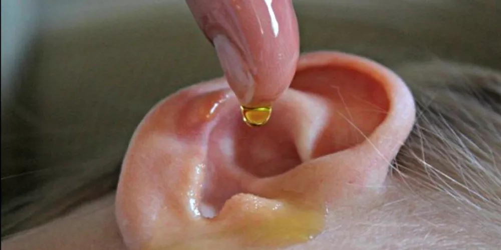 طرق علاج التهاب الأذن الداخلية