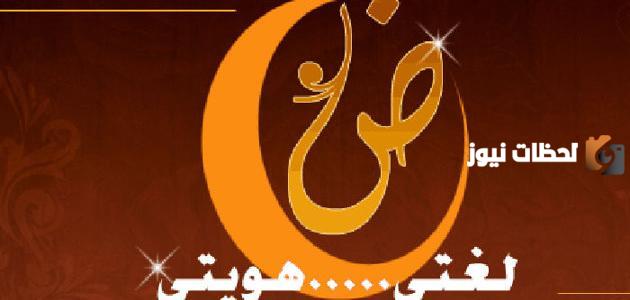 نشاط عن يوم اللغة العربية