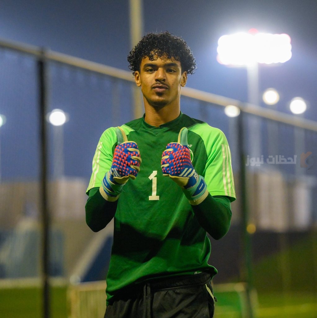 حامد الشنقيطي