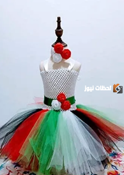  افكار ملابس يوم العلم الاماراتي 