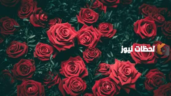 خلفيات كمبيوتر.. 4k روعة