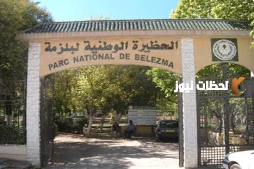  مدينة باتنة الجزائرية