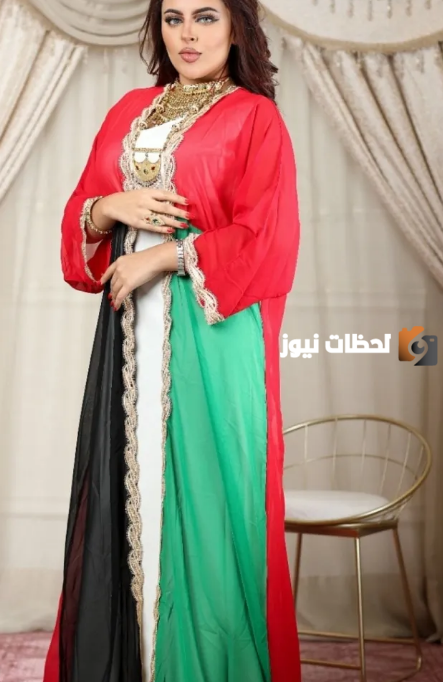  افكار ملابس يوم العلم الاماراتي 