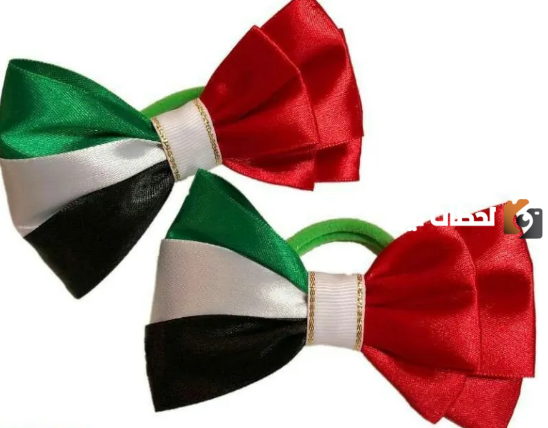  افكار توزيعات يوم العلم الاماراتي