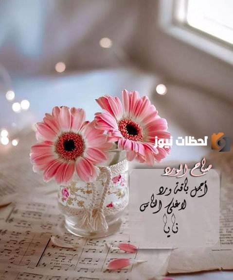 صور اسم نايا