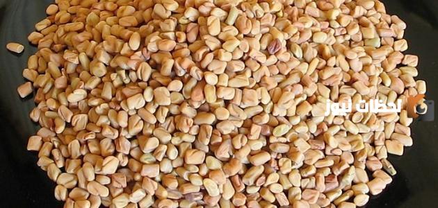 أعشاب لسد الشهية