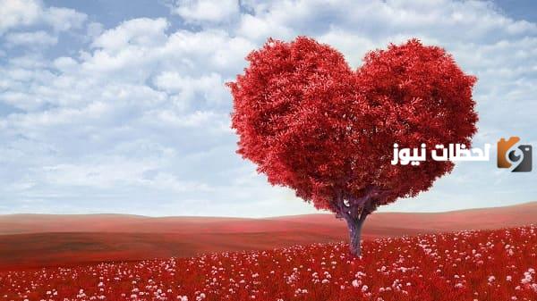 أقوال وحكم الفلاسفة في الحب
