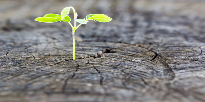 أقوى رسائل عن الامل أقوى رسائل عن الامل