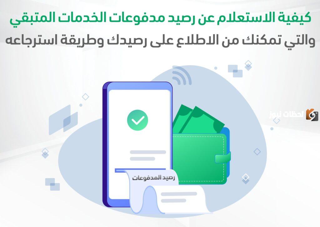 استعلام عن رصيد المدفوعات