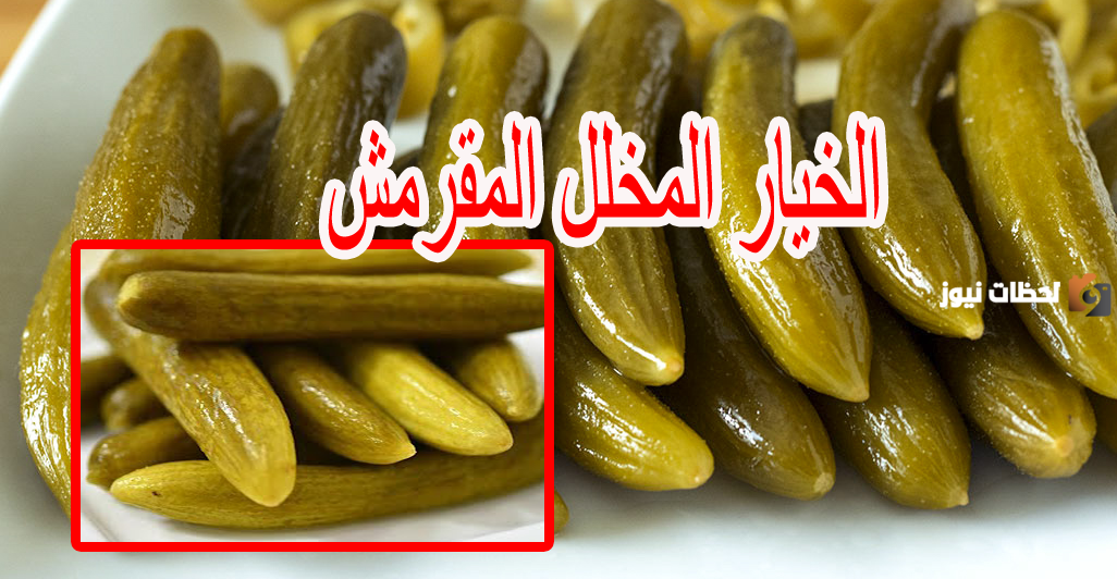 جهزيه لرمضان.. طريقة عمل الخيار المخلل المقرمش في المنزل