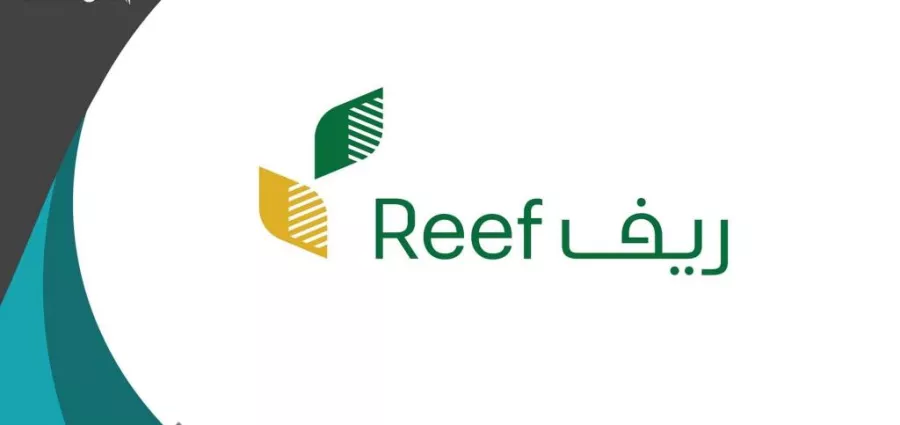 برنامج ريف
