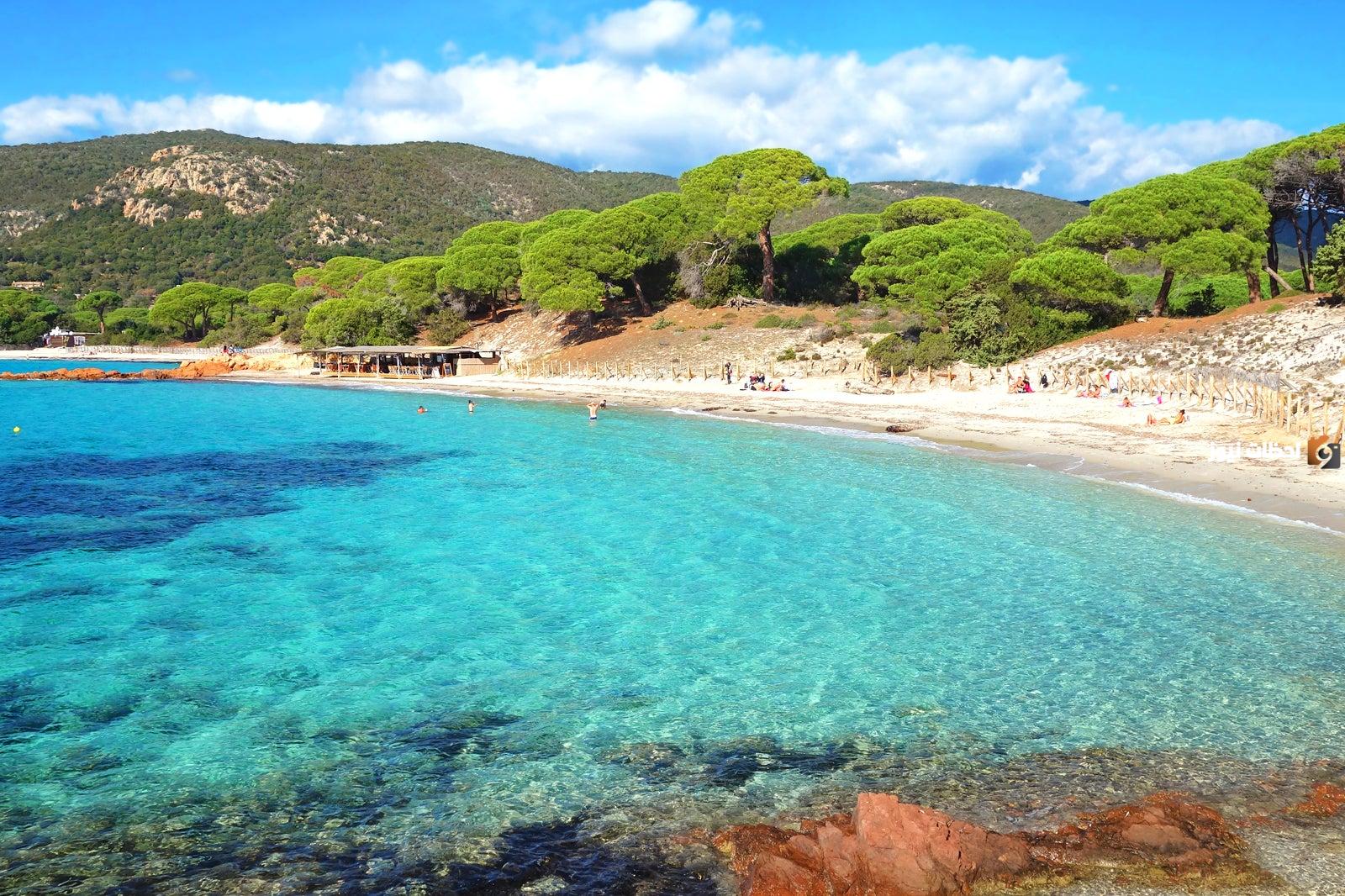 جزيرة كورسيكا وعاصمتها وموقعها الجغرافي