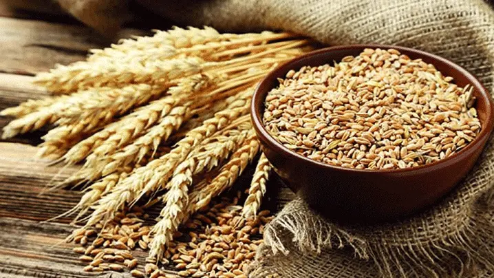 حساب زكاة الفطر